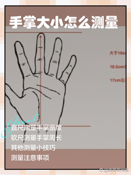 这个尺寸算不算高，额头宽度等于一个手掌宽？