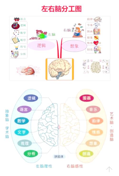 风水对大脑智力发展有显著影响吗？