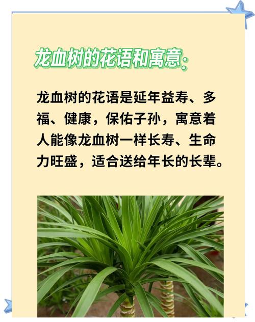 植物风水真的有科学依据吗？