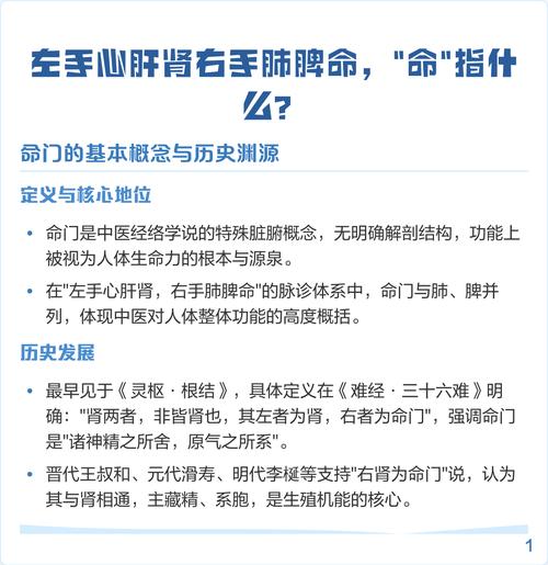 左手心肝肾右手肺脾命，命指的是什么？中医五脏理论中的肺脾命有何特殊含义？