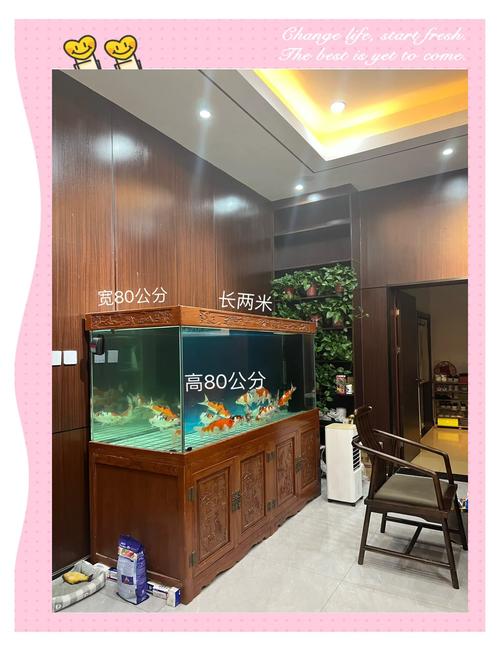 鱼缸横梁的风水讲究有哪些，对家居环境有怎样的影响？