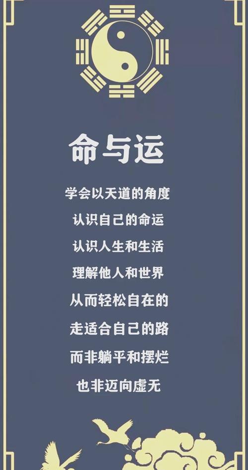 人的命运真的不由自己掌控吗？