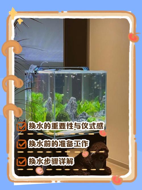 家里更换鱼缸会对家居风水产生怎样的影响呢？