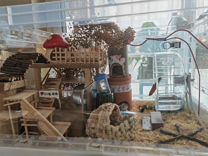 房间里有果冻摆放，这样的风水布局合适吗？