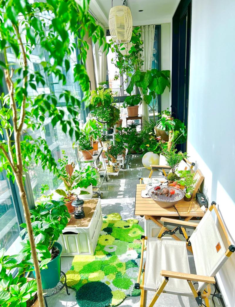 阳台摆放植物对家居风水有何具体影响？