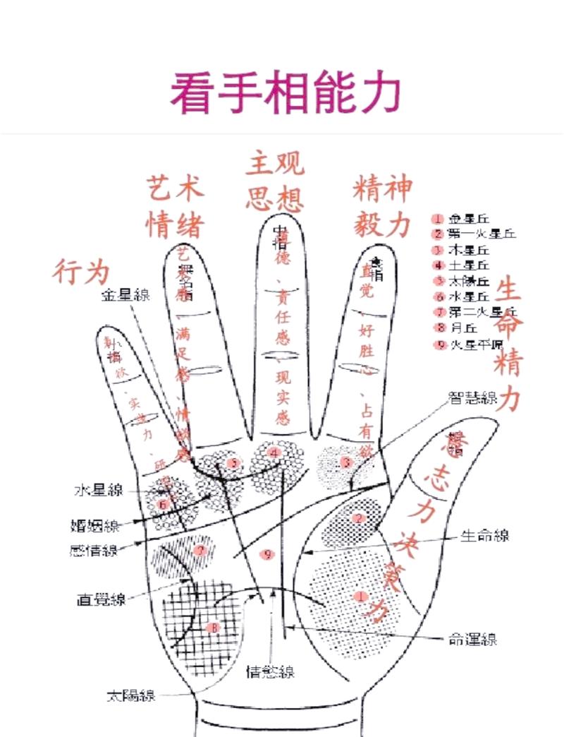 如何通过看手相准确判断一个人的命运？