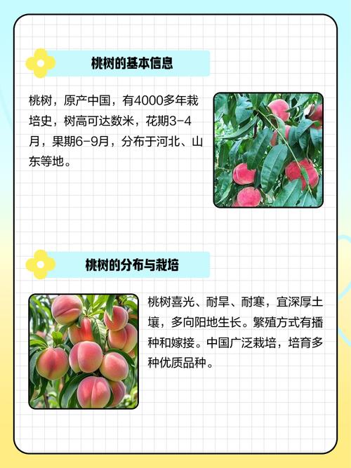 桃花作为风水树，其作用和意义有哪些？