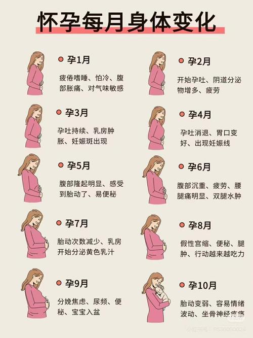 如何通过风水布局来提高怀孕成功率？