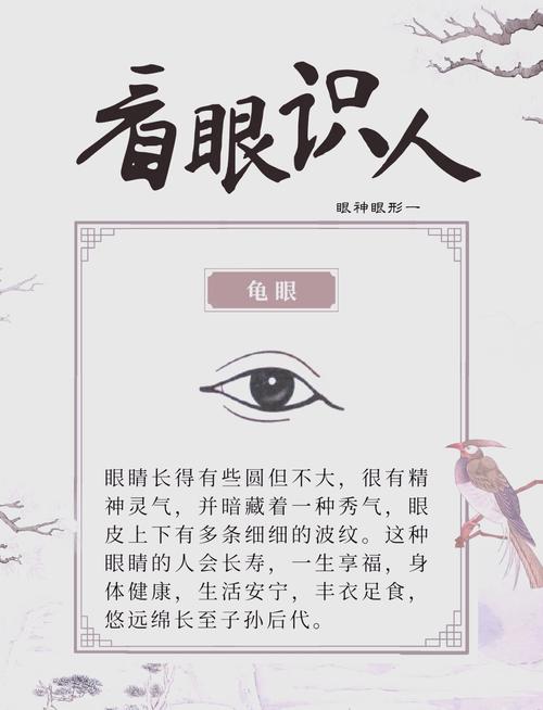 男人眼窝深，命运会如何？民间说法能揭示什么秘密？