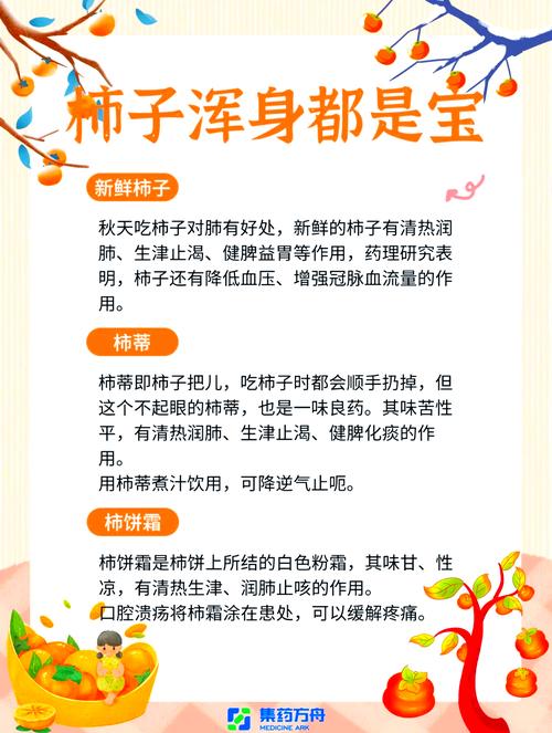 孕妇在风水上禁忌食用柿饼，这种说法有科学依据吗？