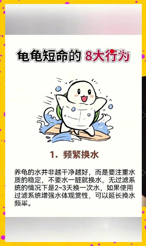 家里养龟对风水有影响吗？