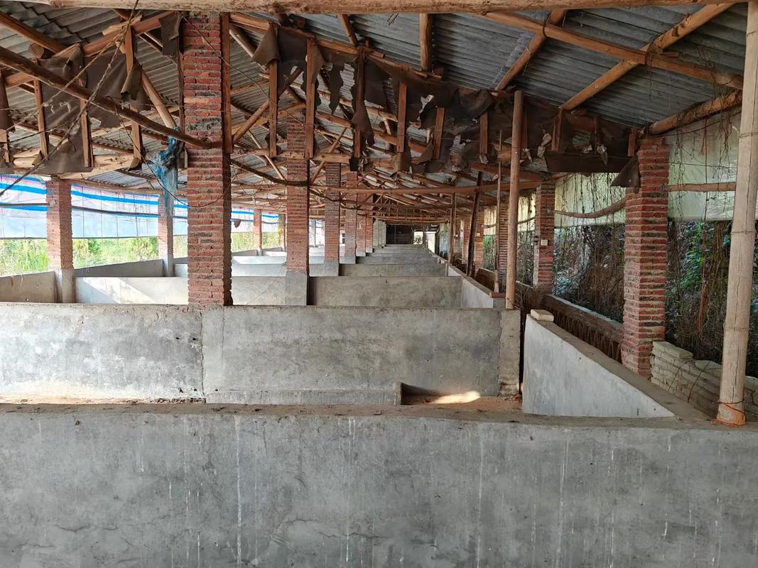 住宅风水里设置小猪圈合适吗？