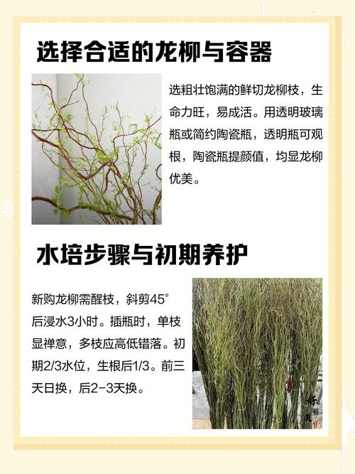 柳树作为风水植物，嫩避邪吗？其风水效果如何？
