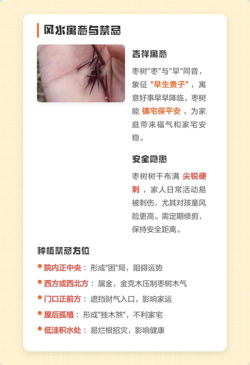 风水大门旁种枣树会影响运势吗？