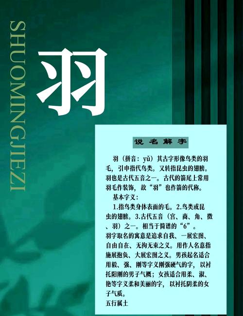 百羽之命是何等命运，女命格有何特殊之处？