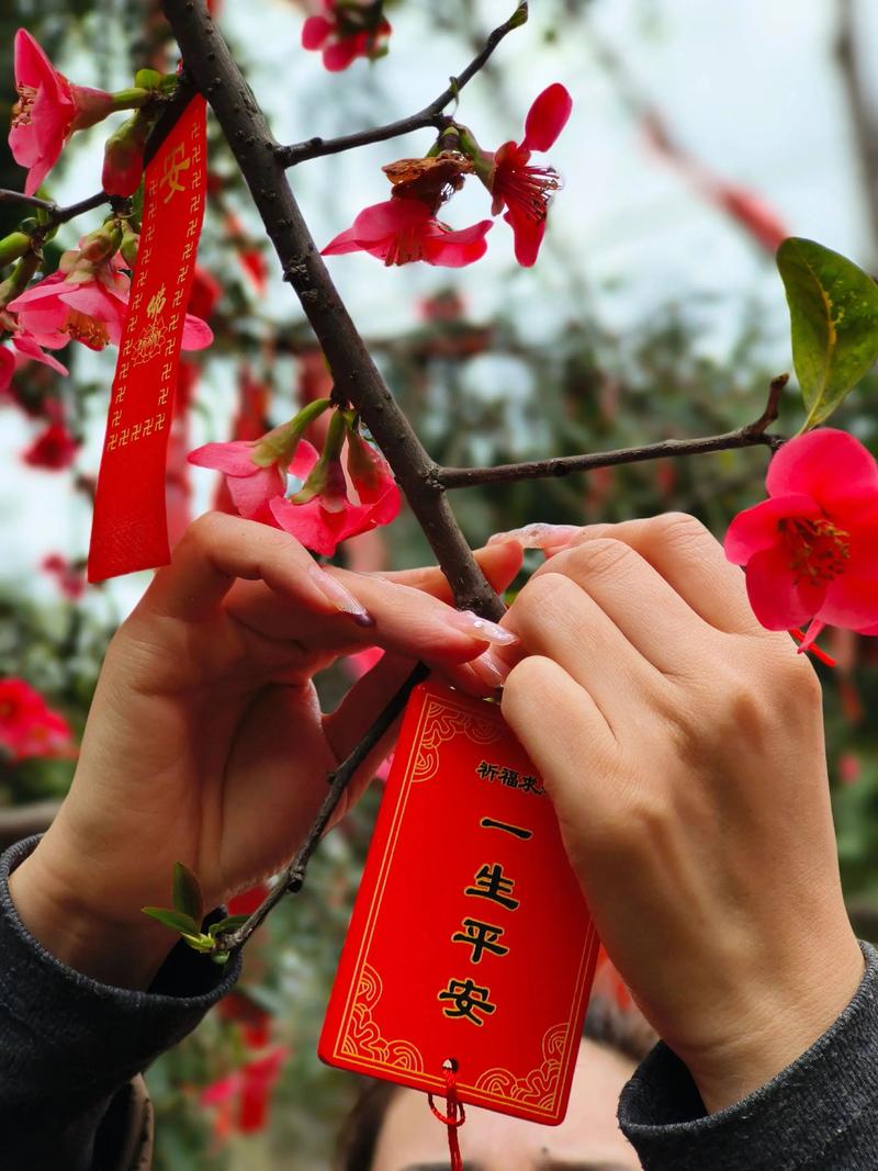 2026年5月11日农历三月二十五适合祈福吗，今日祈福是否适宜？