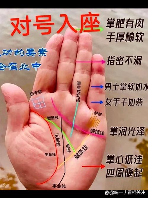 手相中哪些特征预示着天生具备老板命？