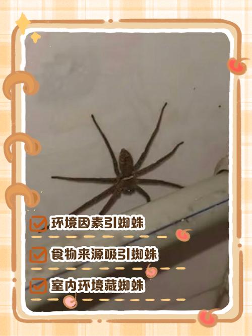 新房装修后蜘蛛特别多，这是不是风水问题导致的呢？