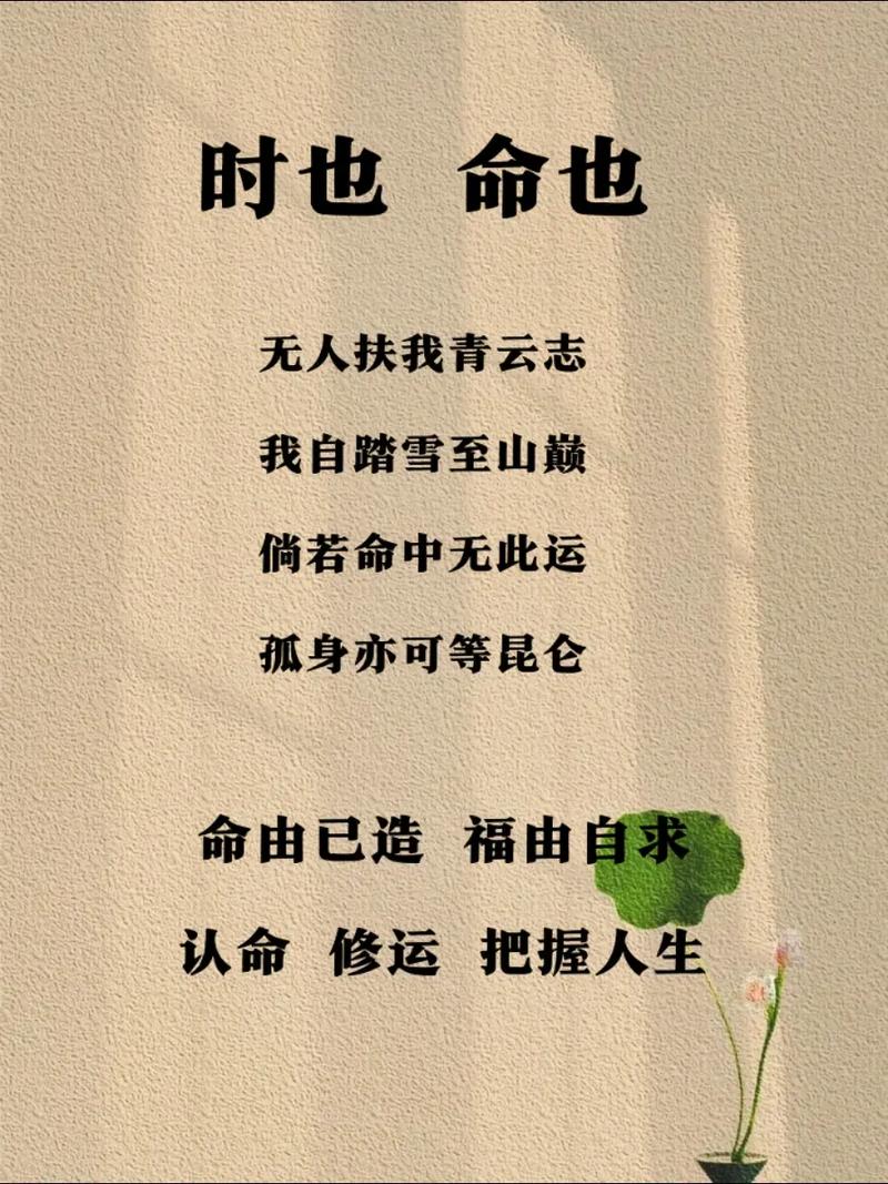 将识命了认命了养命是什么意思？人真的应该认命吗？