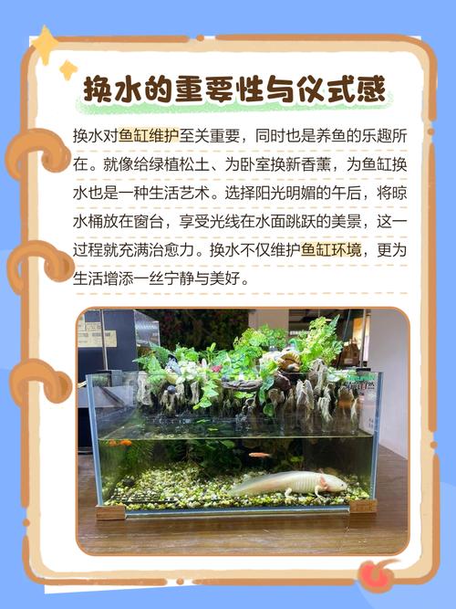 家里更换鱼缸会对家居风水产生怎样的影响呢？