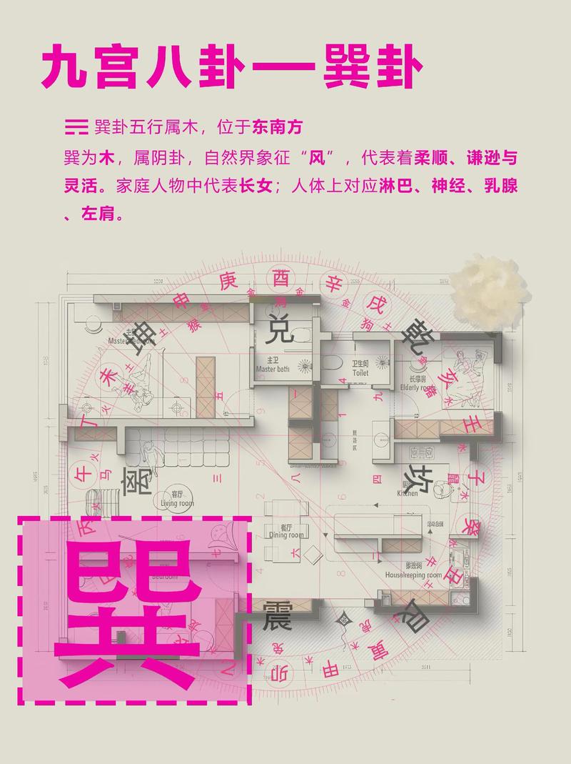 命卦巽命和东四命分别指什么？