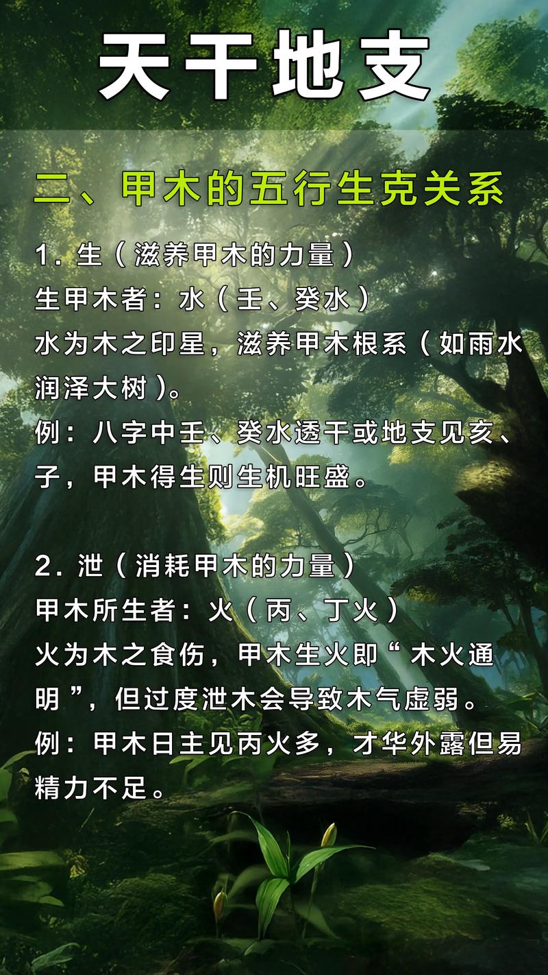 男命天干甲代表什么？甲木究竟属于哪种类型的木？