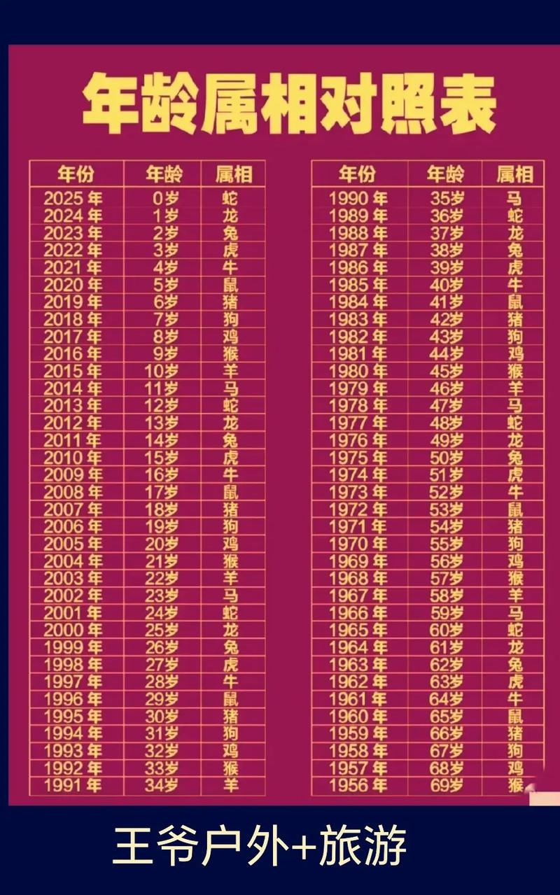 今年45岁属什么命？2004年出生属什么生肖，现在几岁了？