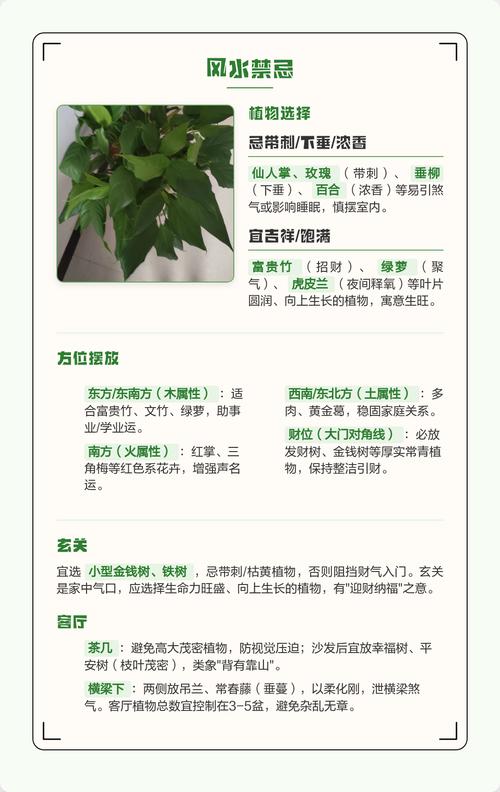 家里摆放鲜花对风水有影响吗？