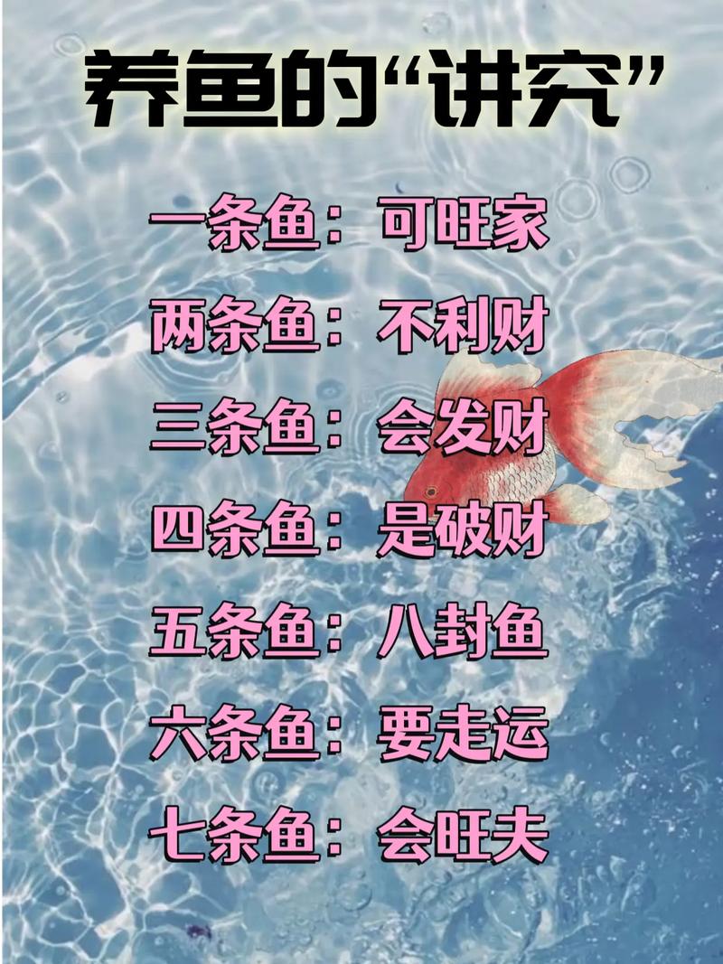 正北风水位置适合养鱼吗？这样的环境对鱼儿生长有影响吗？