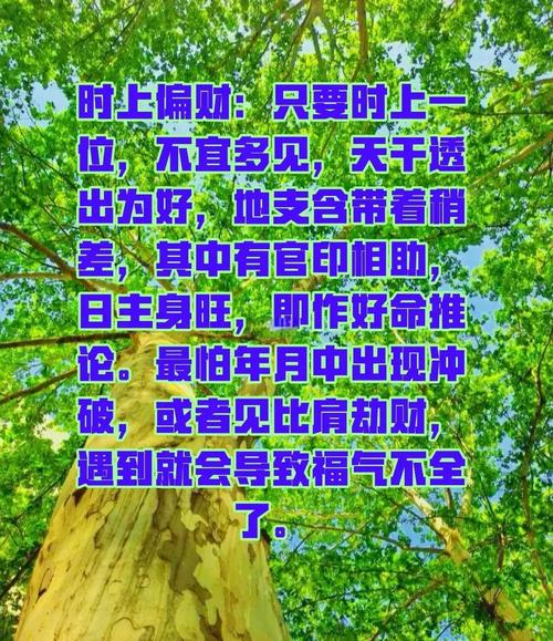 女命六个偏财意味着什么这样的命格女性有哪些独特特点？