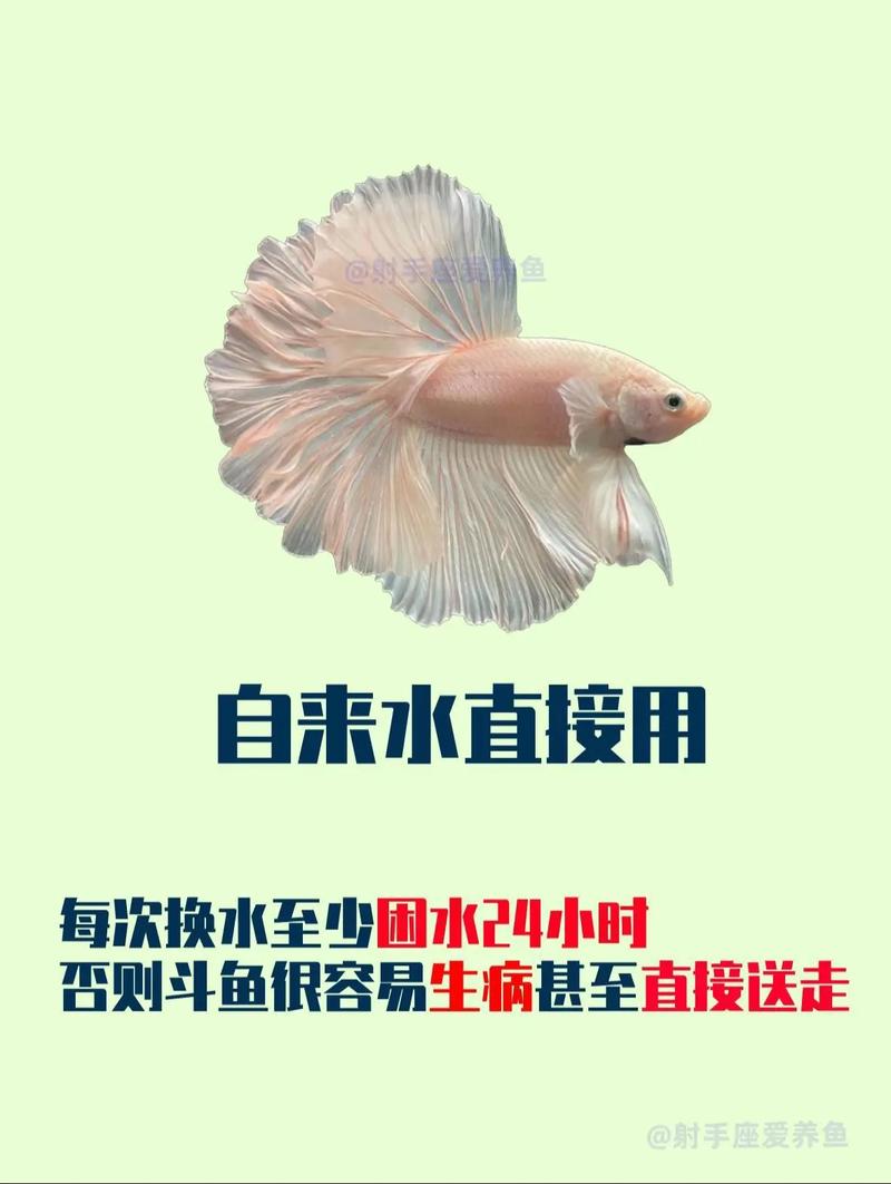 家里养斗鱼会对家居风水产生怎样的影响或作用呢？