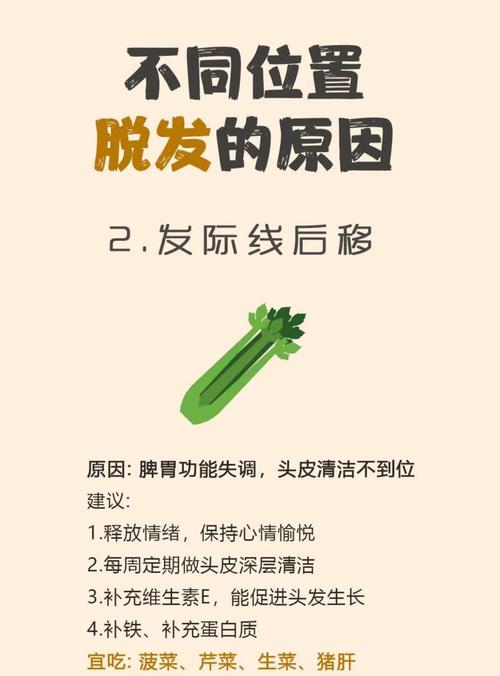 掉头发与风水之间是否存在关联？