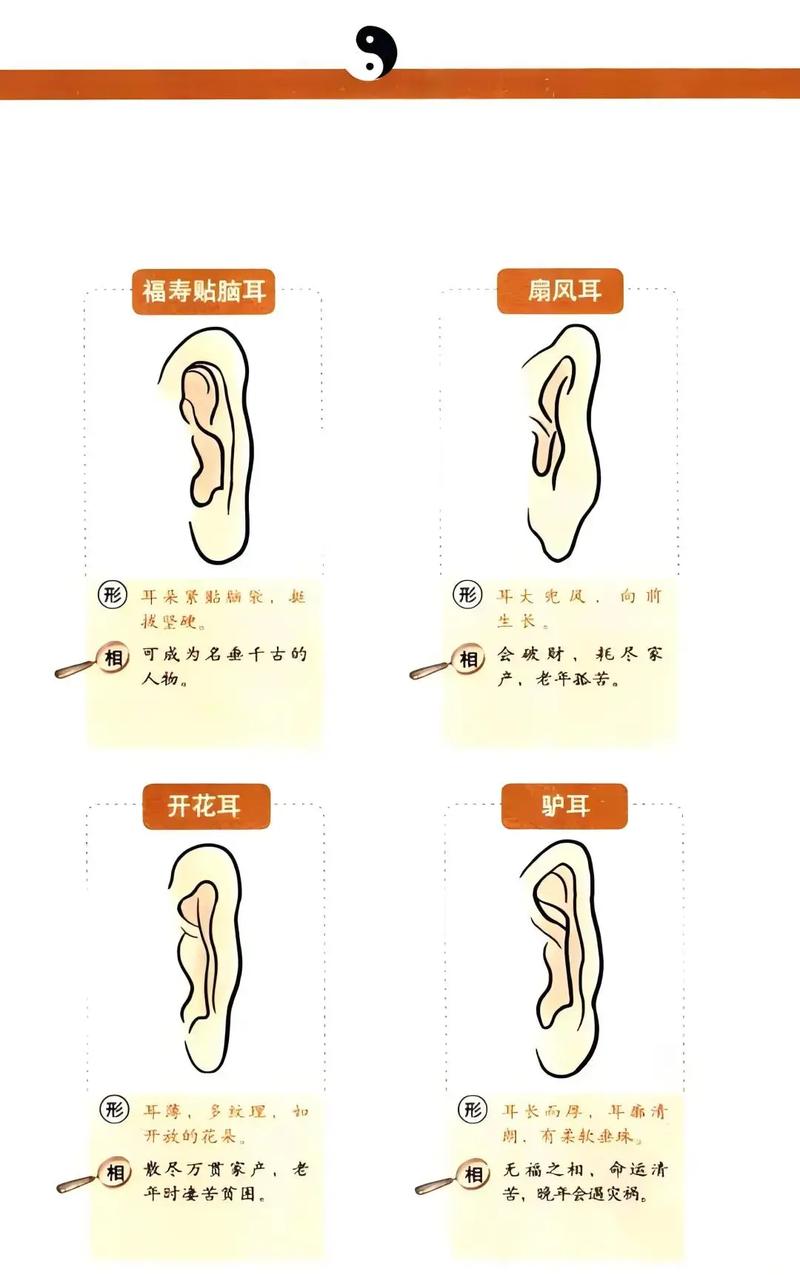 耳朵无肉或耳垂无肉，难道真意味着命运不佳或福气全无？