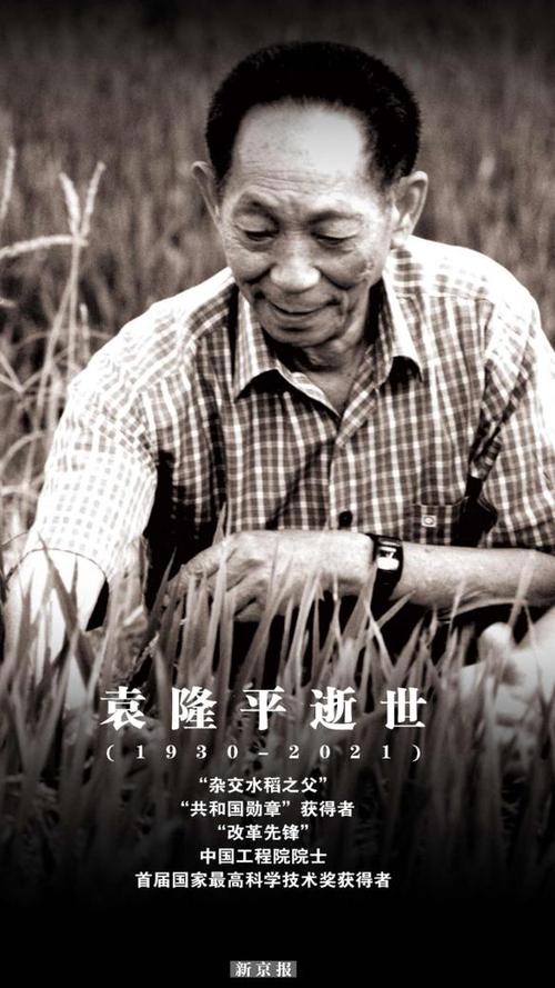 袁隆平下葬时是否考虑过风水布局的问题？