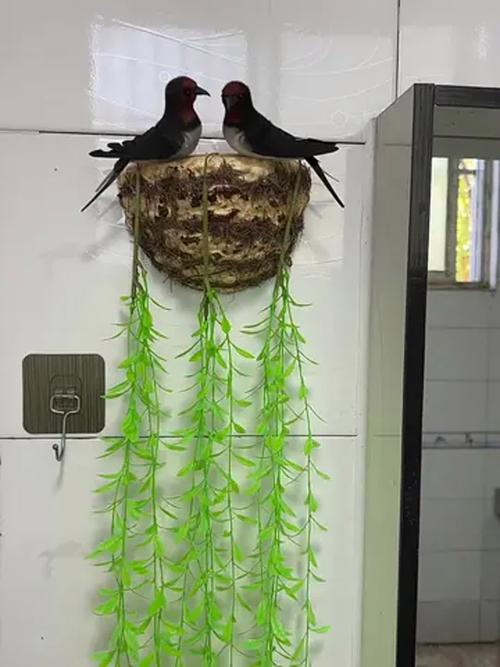 入住燕子有何风水讲究？