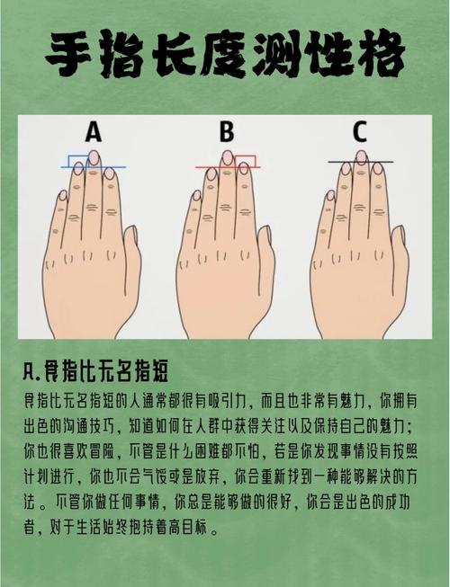 手指长度与命运有何关联？手指长究竟暗示着什么？