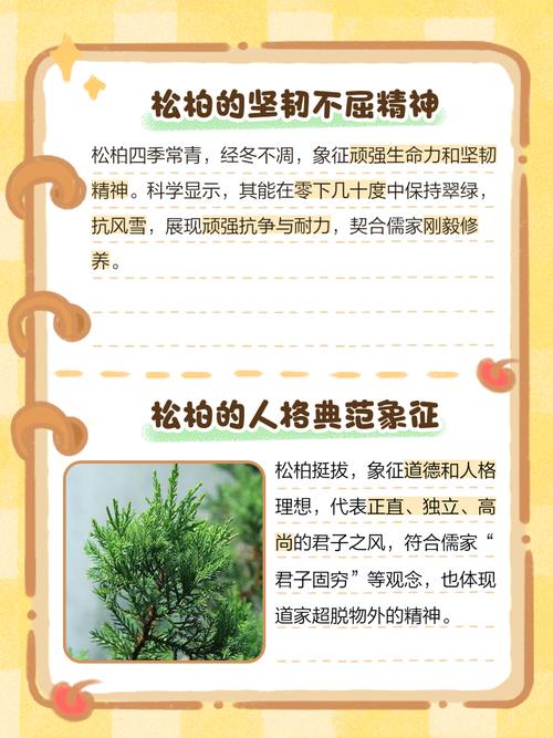 松柏木命的人有哪些忌讳？桑松木命是否容易改变？