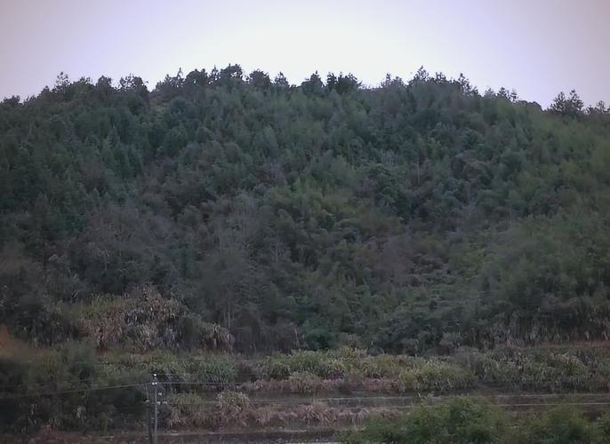 阴宅风水墓地环境是否会导致居住者生病？