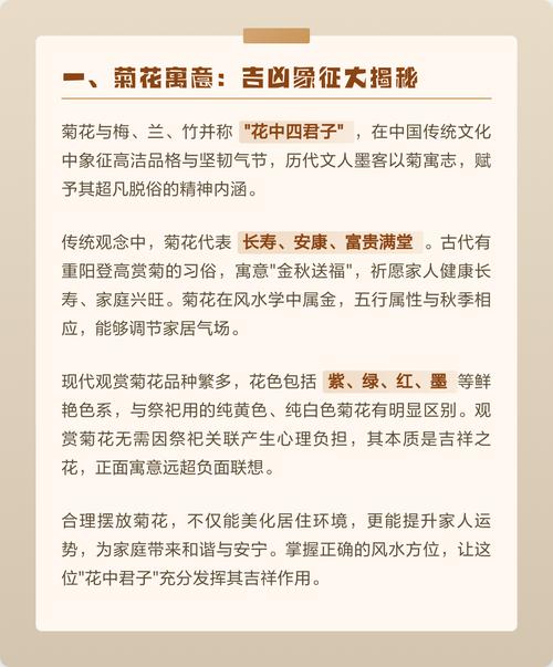 家里摆放菊花风水上有什么讲究？