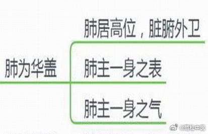 命带华盖是什么意思？华盖的脏腑指的是哪些器官？