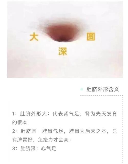 肚脐高高凸起是男是女，这是什么命？