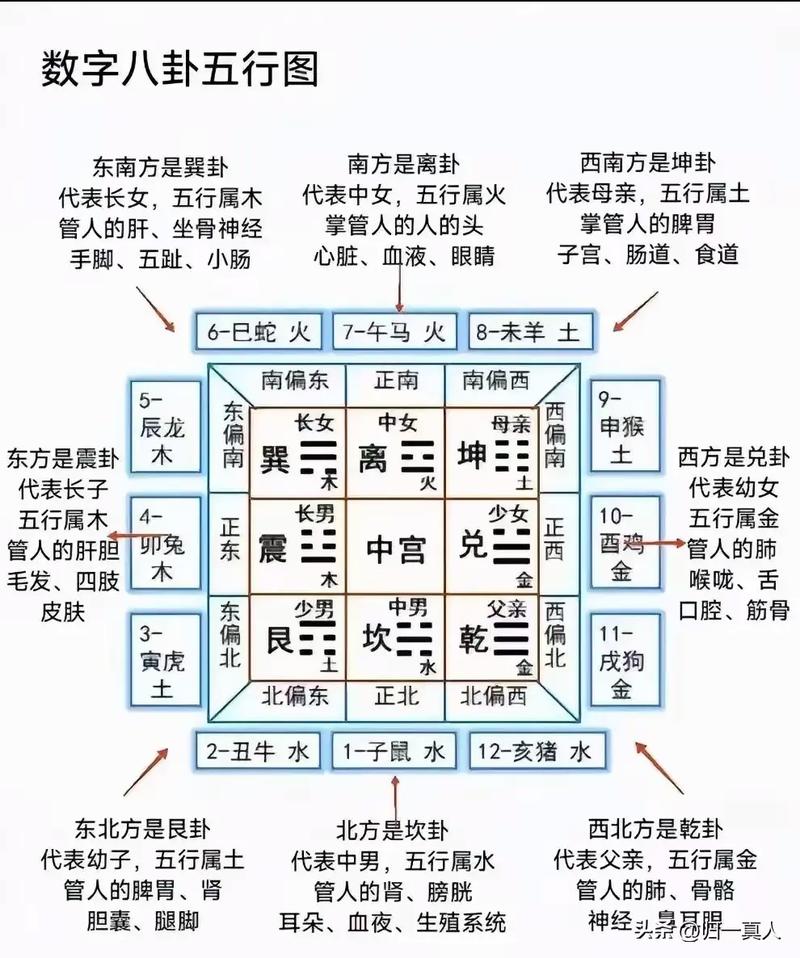 如何同过九宫命格判断自己的命格，九宫命格中的5命具体代表什么？