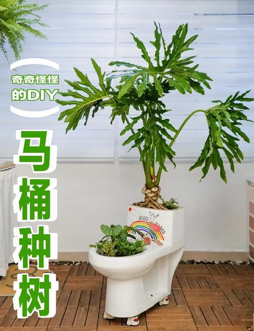 在马桶上种植花卉会对家居风水产生不良影响吗？