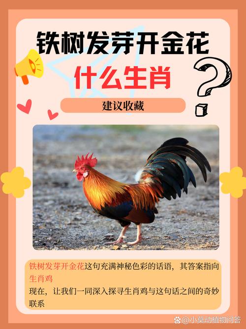 1968、1969年出生的土鸡命缺什么，如何补运？