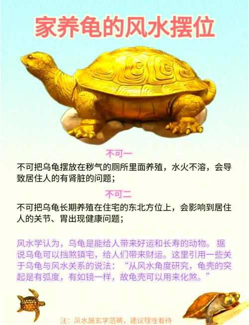家里摆放乌龟真的会对风水产生重大影响吗？
