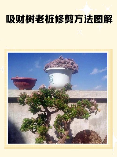 平时修剪树枝对风水有影响吗？