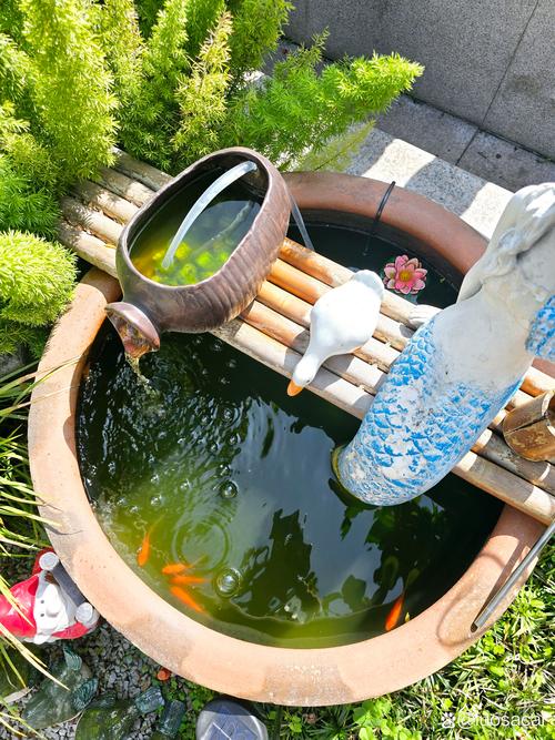 院子里放置尿泡会影响风水吗？