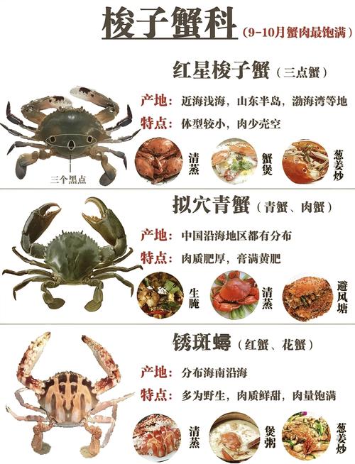 螃蟹在风水上是否被认为是一种吉祥的象征呢？