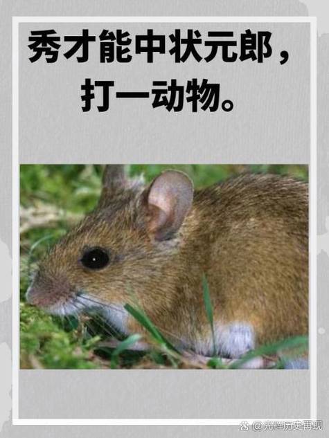 状元命代表哪个生肖，这个生肖又具体指的是哪一种生肖？