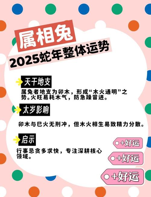 兔年辰时出生的人命运如何才能转运？